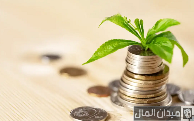 مشاريع مربحة في الشتاء مشاريع مربحة في الشتاء