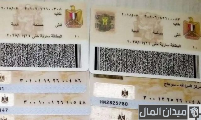 4 طرق لتغيير محل الإقامة في بطاقة الرقم القومي بالخطوات 4 طرق لتغيير محل الإقامة في بطاقة الرقم القومي بالخطوات
