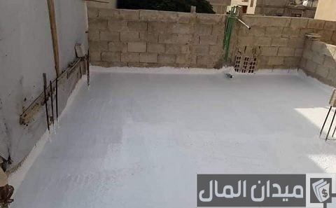 كيفية زراعة الأسطح المنزلية بالصور كيفية زراعة الأسطح المنزلية بالصور