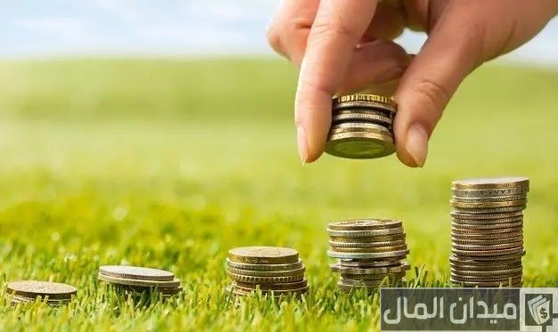 طريقة تقسيم الراتب الشهري طريقة تقسيم الراتب الشهري
