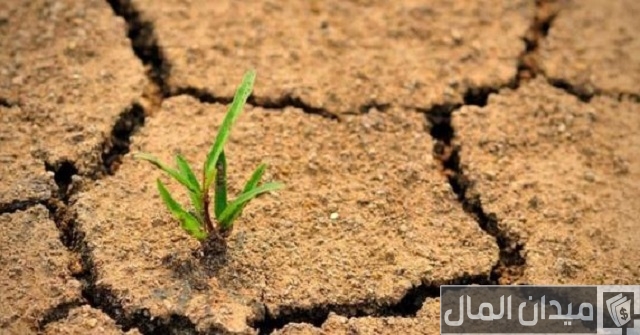 كيف تسمد وتزرع الأراضي الجيرية وأهم النباتات التي يمكن زراعتها كيف تسمد وتزرع الأراضي الجيرية وأهم النباتات التي يمكن زراعتها
