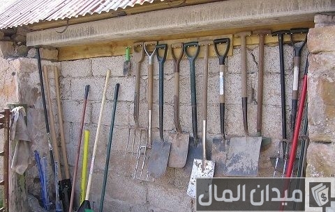 كيفية زراعة الأسطح المنزلية بالصور كيفية زراعة الأسطح المنزلية بالصور