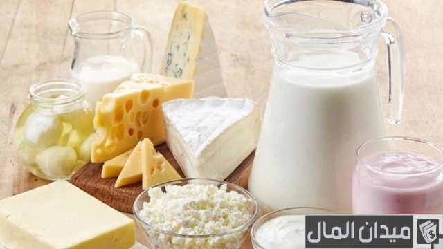 دراسة جدوى مشروع ألبان دراسة جدوى مشروع ألبان