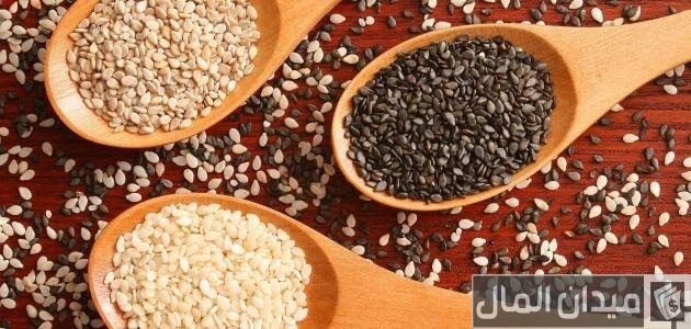 أنواع السمسم أنواع السمسم