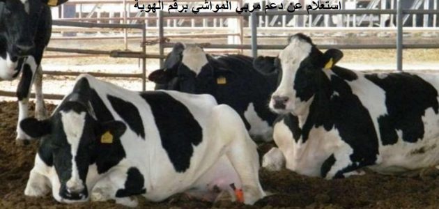 خطوات الاستعلام عن دعم مربي المواشي وزارة الزراعة بالسجل المدني ورقم الهوية استعلام عن دعم مربي المواشي وزارة الزراعة بالسجل المدني ورقم الهوية