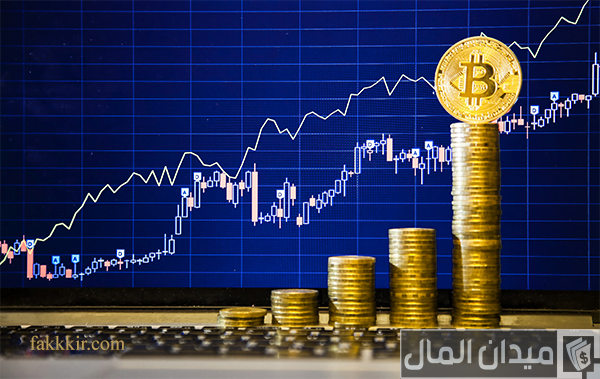 الاستثمار في العملات الرقمية دليل للمبتدئين الاستثمار في العملات الرقمية دليل للمبتدئين