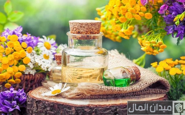 طرق استخلاص المواد الفعالة من النباتات الطبية طرق استخلاص المواد الفعالة من النباتات الطبية