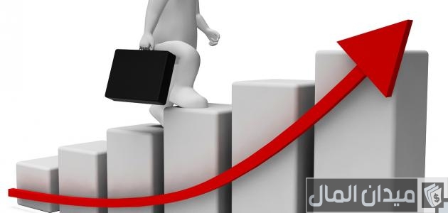 طرق زيادة الدخل من المنزل طرق زيادة الدخل من المنزل