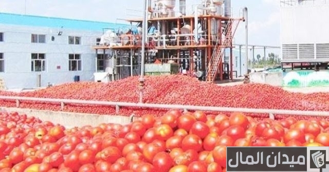 دراسة جدوى مشروع مصنع صلصة طماطم دراسة جدوى مشروع مصنع صلصة طماطم