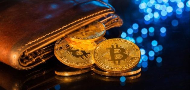 شرح إنشاء محفظة عملات رقمية كيف تعمل محفظة عملات رقمية؟