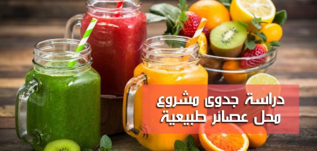 دراسة جدوى مشروع محل عصائر طبيعية وأرباح المشروع دراسة جدوى مشروع محل عصائر طبيعية