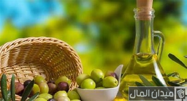 أفضل زيت زيتون في العالم أفضل زيت زيتون في العالم