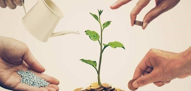 أهمية الاستثمار في التنمية الاقتصادية ودورها أهمية الاستثمار في التنمية الاقتصادية