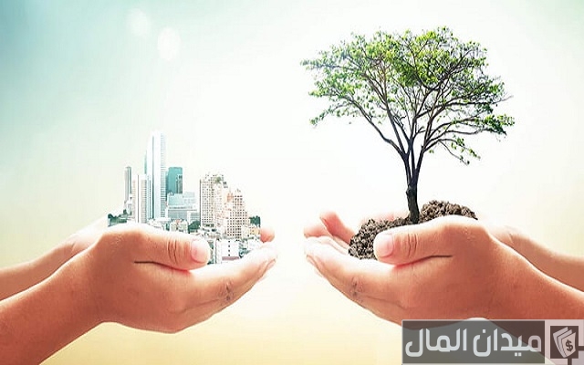 أهمية الاستثمار في التنمية الاقتصادية أهمية الاستثمار في التنمية الاقتصادية