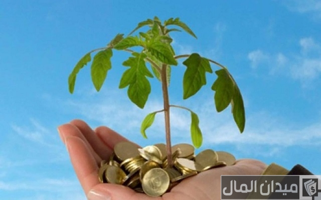 رقم خدمة عملاء عناوين فروع تساهيل للقروض مصر رقم خدمة عملاء عناوين فروع تساهيل للقروض مصر