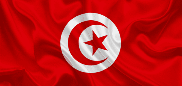 خطوات وإجراءات إنشاء شركة استيراد وتصدير في تونس كيفية إنشاء شركة استيراد وتصدير في تونس بالخطوات