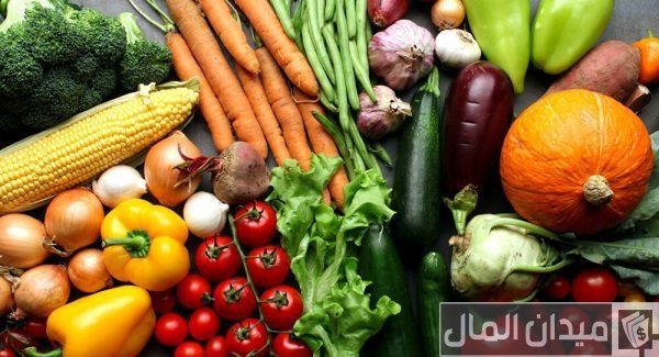 ما هي الدول العربية المنتجة للخضروات بالترتيب؟ ما هي الدول العربية المنتجة للخضروات بالترتيب؟