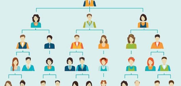 مميزات وعيوب الخرائط التنظيمية مزايا وعيوب الخرائط التنظيمية
