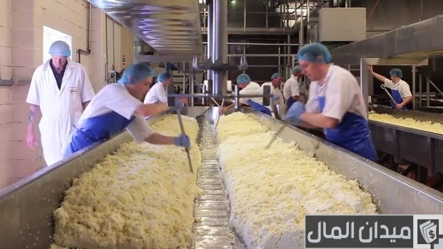 كيفية صناعة الجبن في المصانع كيفية صناعة الجبن في المصانع