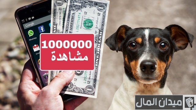 كم يدفع اليوتيوب مقابل 1000000 مشاهدة في السعودية؟ كم يدفع اليوتيوب مقابل 1000000 مشاهدة في السعودية؟