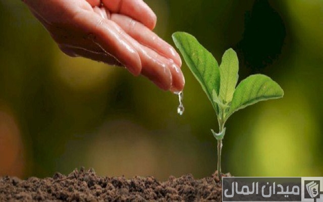 أهمية الزراعة في الوطن العربي أهمية الزراعة في الوطن العربي