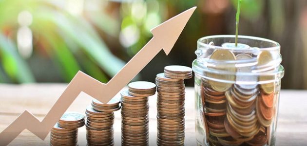 دراسة جدوى الصندوق الاجتماعي للتنمية دراسات جدوى الصندوق الإجتماعي للتنمية