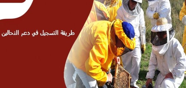 شرح التسجيل في دعم النحالين في السعودية طريقة التسجيل في دعم النحالين