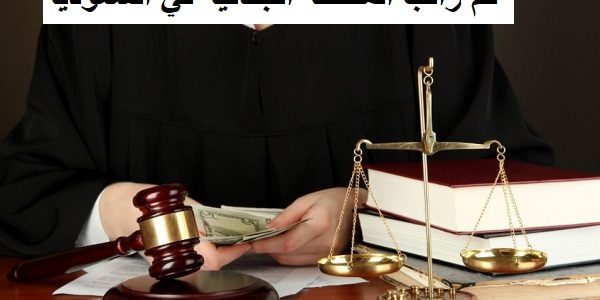 راتب المحققة الجنائية في السعودية بالريال كم راتب المحققة الجنائية في السعودية