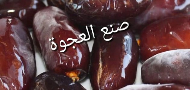 مشروع صناعة قوالب العجوة من البلح وأرباح المشروع مشروع صناعة قوالب العجوة في المنزل