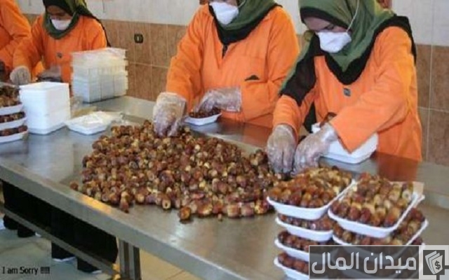مشروع صناعة قوالب العجوة في المنزل مشروع صناعة قوالب العجوة في المنزل