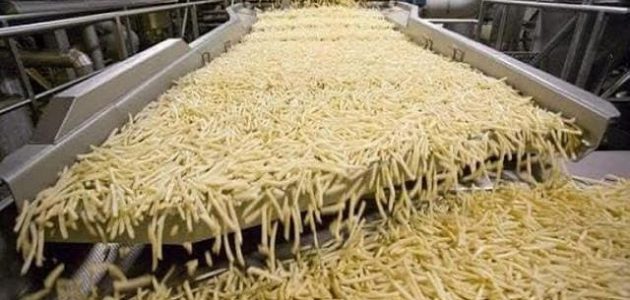 دراسة جدوى مشروع البطاطس نصف مقلية وأرباح المشروع دراسة جدوى مشروع البطاطس نصف مقلية