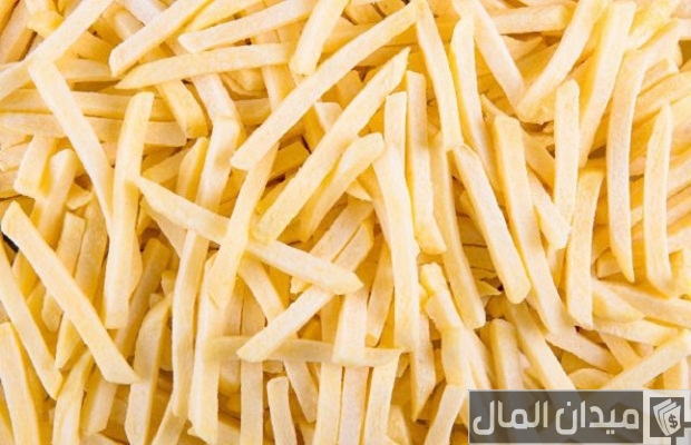 دراسة جدوى مشروع البطاطس نصف مقلية وأرباح المشروع دراسة جدوى مشروع البطاطس نصف مقلية