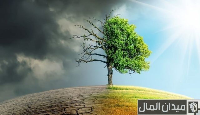 اتحاد التأمين: شركات القطاع تقود التفكير المستقبلي للاقتصاد عبر تحسين مرونته اتحاد التأمين: شركات القطاع تقود التفكير المستقبلي للاقتصاد عبر تحسين مرونته