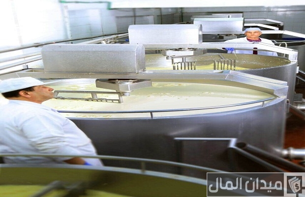 دراسة جدوى مشروع صناعة الجبن دراسة جدوى مشروع صناعة الجبن