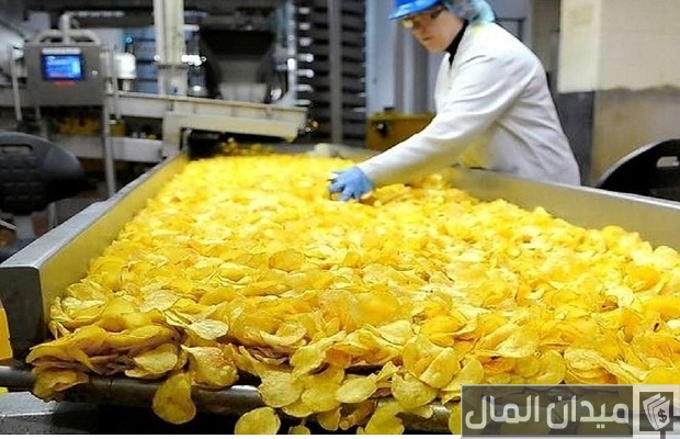 دراسة جدوى مشروع مصنع شيبسي دراسة جدوى مشروع مصنع شيبسي