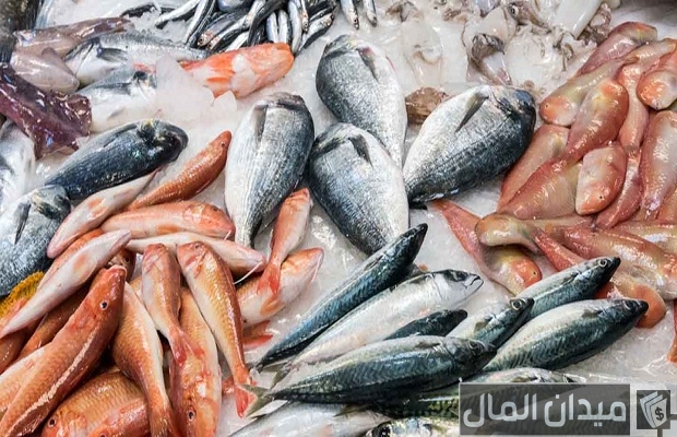 مواعيد سوق السمك عجمان مواعيد سوق السمك عجمان