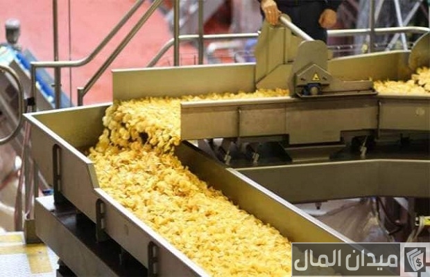 دراسة جدوى مشروع مصنع شيبسي دراسة جدوى مشروع مصنع شيبسي