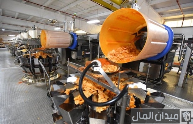 دراسة جدوى مشروع مصنع شيبسي دراسة جدوى مشروع مصنع شيبسي