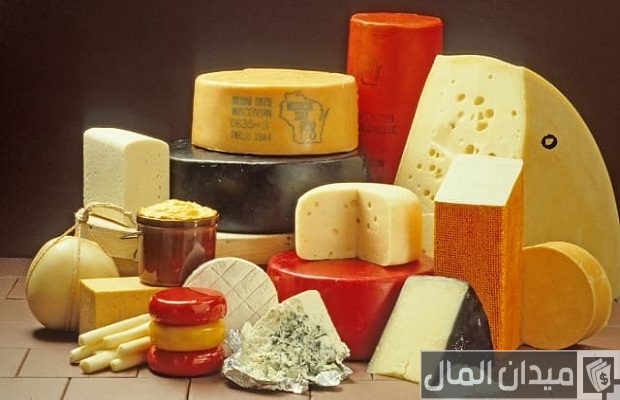 دراسة جدوى مشروع صناعة الجبن دراسة جدوى مشروع صناعة الجبن