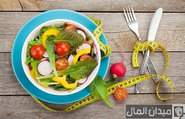 مشروع مدونة عن الرجيم والتخسيس وطرق الربح منها مشروع مدونة عن الرجيم والتخسيس وطرق الربح منها