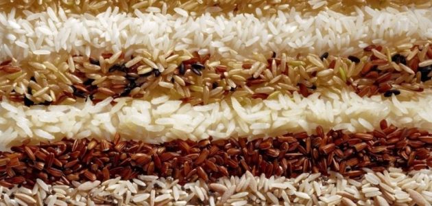 أنواع الأرز البسمتي ونصائح اختيار النوع المناسب أفضل أنواع الأرز البسمتي