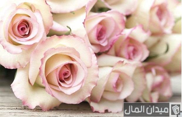 كلمة ترحيب رسمية بالضيوف كلمة ترحيب رسمية بالضيوف