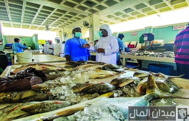 مواعيد سوق السمك عجمان مواعيد سوق السمك عجمان