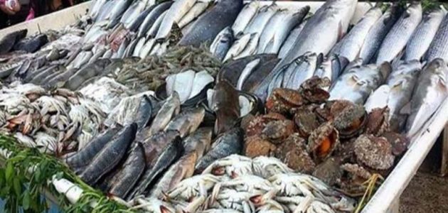 أسعار السمك اليوم الاحد 21-4-2025 في مصر أسعار السمك اليوم 20-4-2024 في مصر