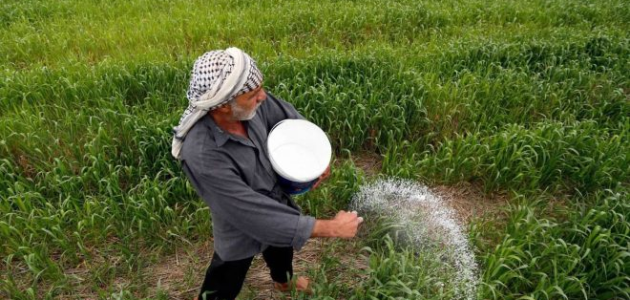 "وزارة الزراعة" توجّه تعليمات جديدة لصرف حصص الأسمدة في الصيف «الزراعة» تصدر تعليمات جديدة لصرف حصص الأسمدة الصيفية