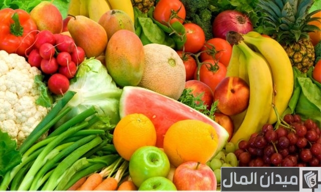 ما هي خطوات تصدير الفواكه من مصر؟ ما هي خطوات تصدير الفواكه من مصر؟