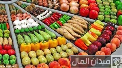 مشروع محل خضار وفواكه في مصر مشروع محل خضار وفواكه في مصر