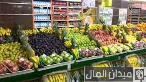 دراسة جدوى مشروع محل خضار وفواكه في مصر .. "نصائح للتسويق" فعالة مشروع محل خضار وفواكه في مصر