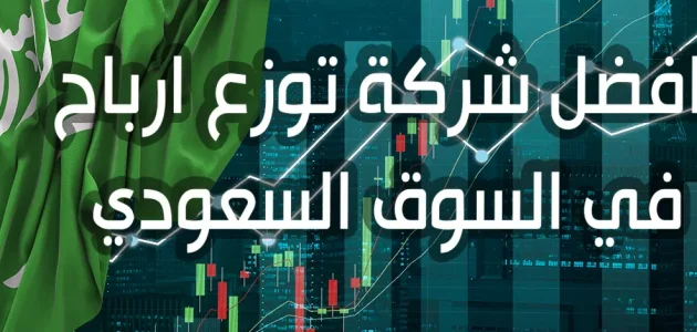 أسماء شركات توزيع ارباح في السوق السعودي افضل شركة توزيع ارباح في السوق السعودي