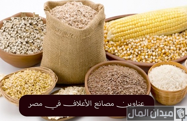 دليل عناوين وأرقام شركات إضافات الأعلاف في مصر أفضل شركات إضافات الأعلاف في مصر
